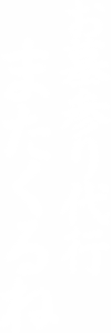 お墓参り代行またくるね